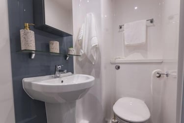 1 bed flat, Lancaster Street, Aston, Birmingham, B47BZ - Image 3